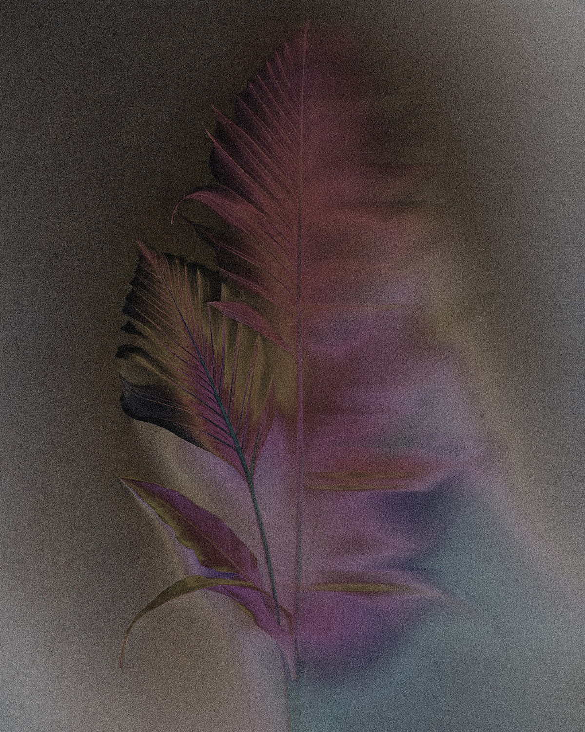 AI_VisualExplore_Plant2