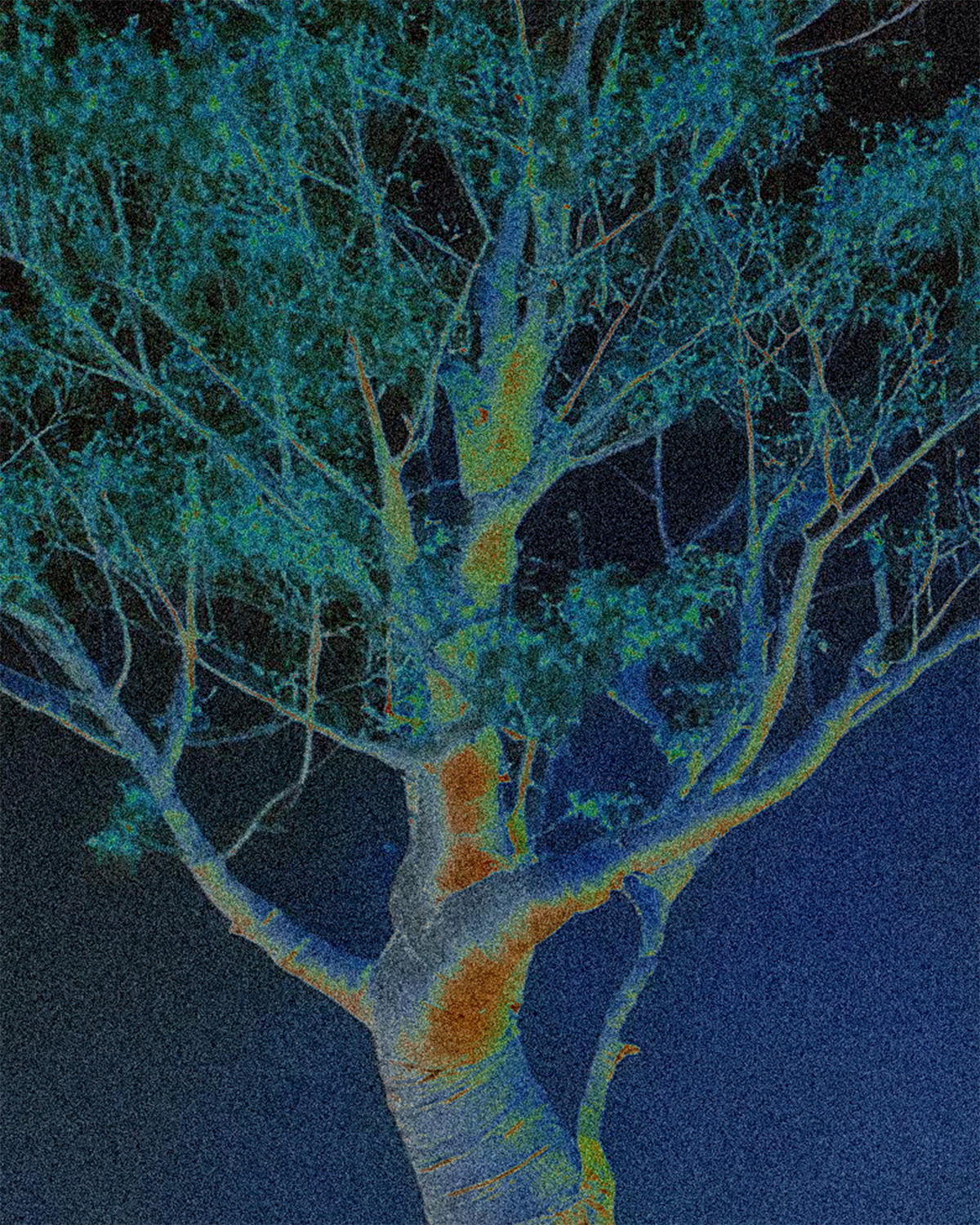 AI_VisualExplore_Tree