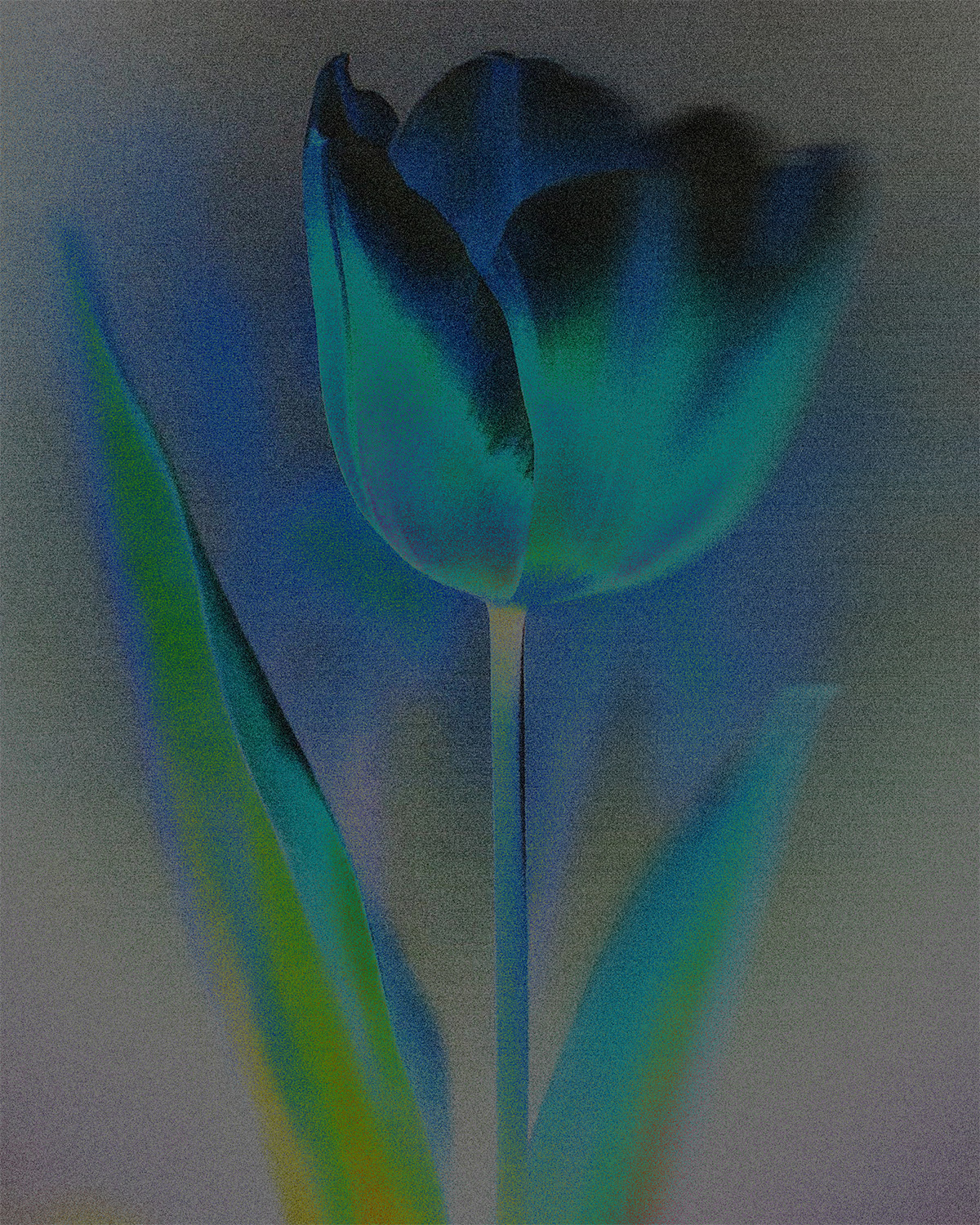 AI_VisualExplore_Tulip
