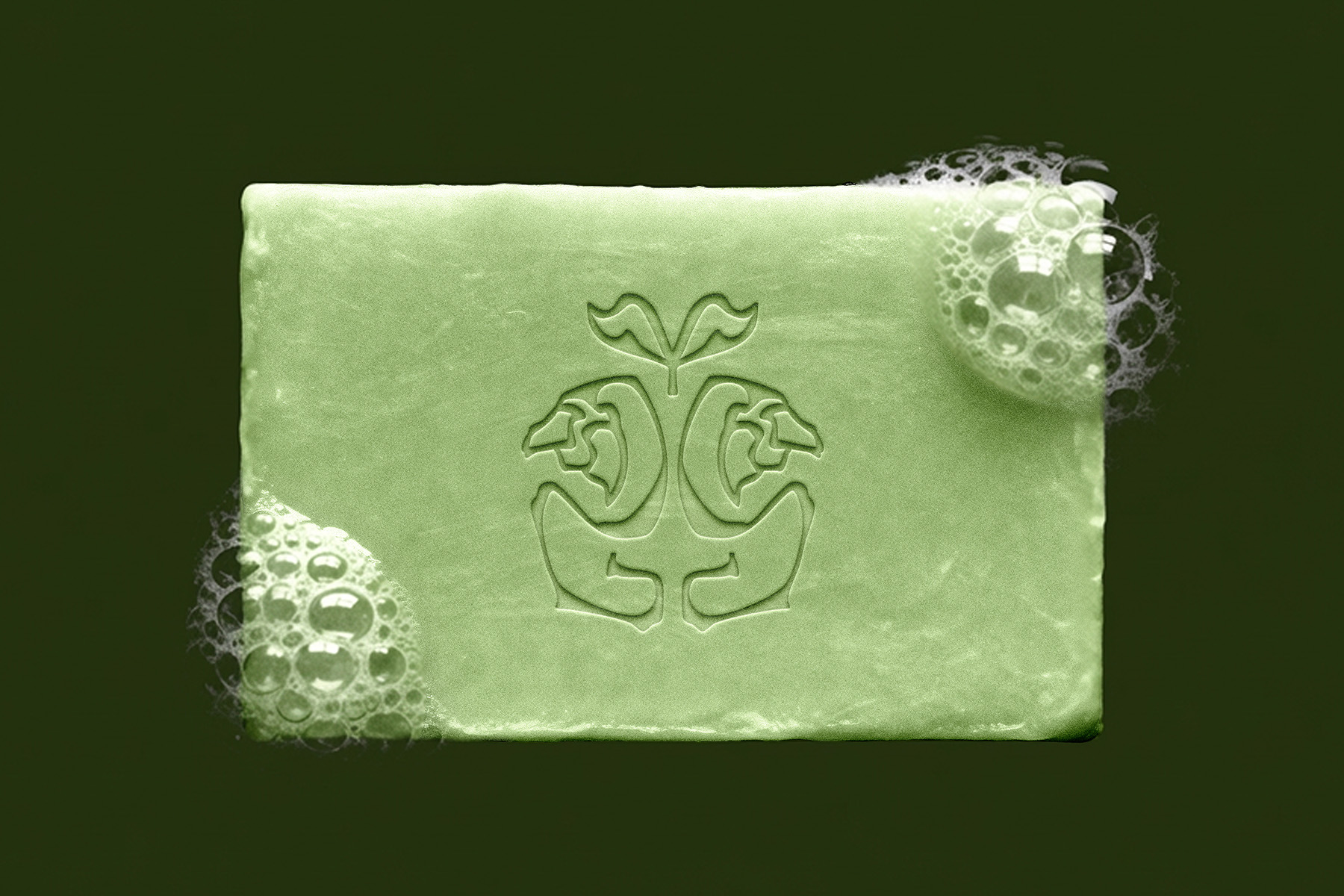 SF_CaseStudy_GI-14