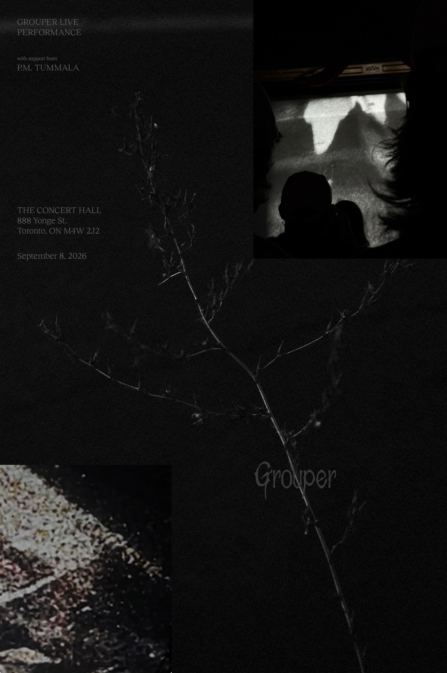 Grouper_Website_Poster-Small